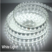 ریسه شلنگی LED مهتابی